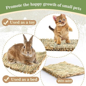 Pet products used as a toy and bed for small pets, featuring a rabbit and a kitten at Pet Servo