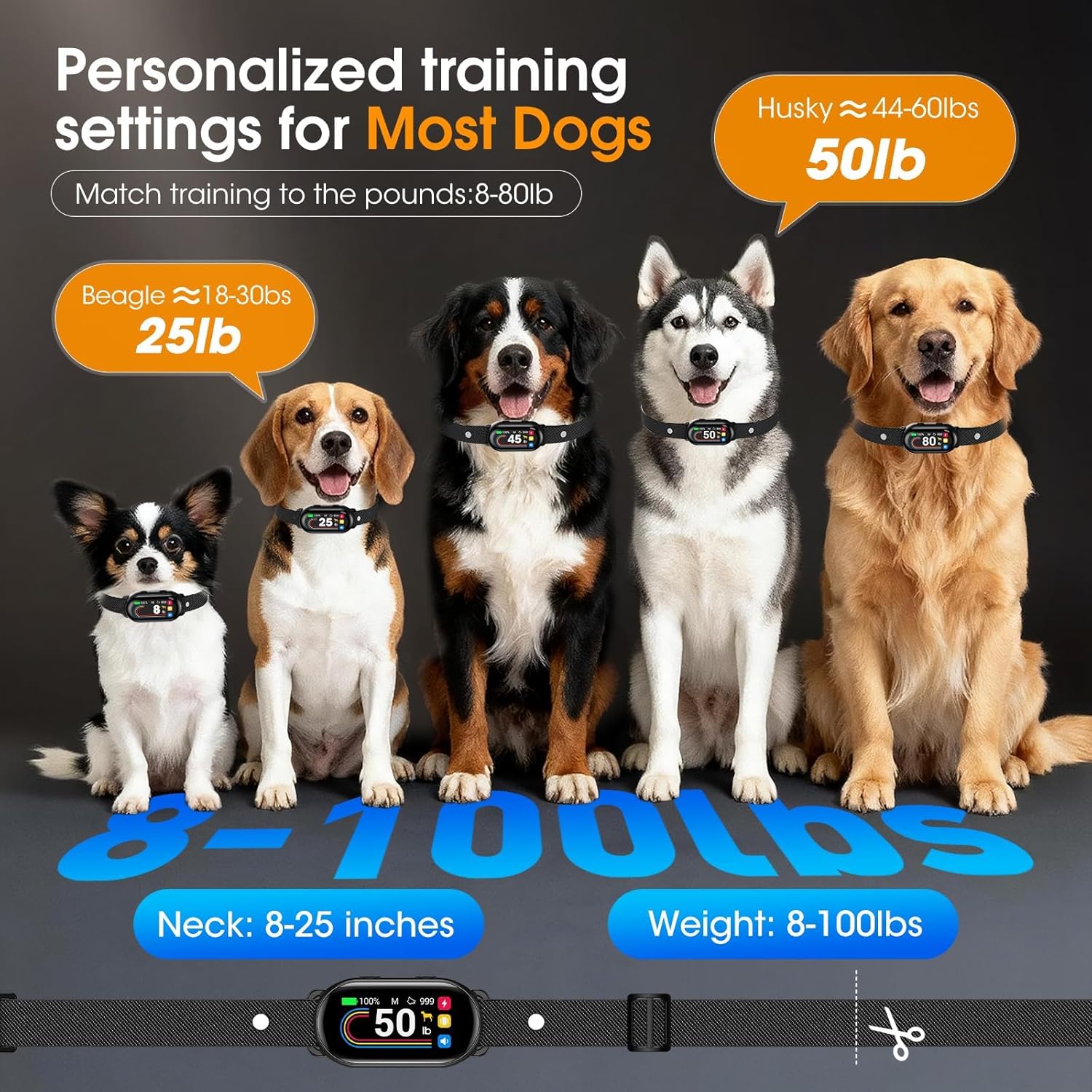 Five dogs of different breeds wearing collars with personalized training settings displayed at Pet Servo