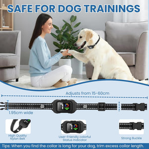 Woman sitting on the floor with a dog, both wearing a electronic dog collar, in a living room setting at Pet Servo