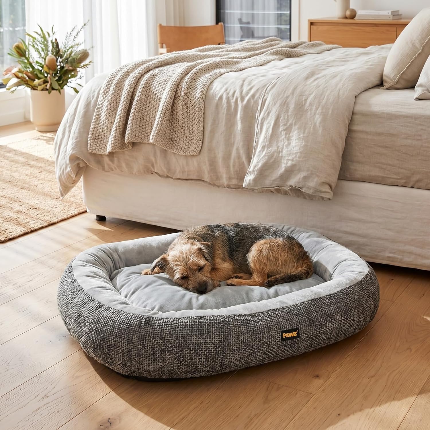 PaWz Orthopedic Dual-Layer Foam Dog Bed with Plush Cushion Top with Machine Washable Cover at Pet Servo