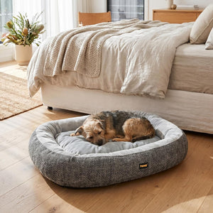 PaWz Orthopedic Dual-Layer Foam Dog Bed with Plush Cushion Top with Machine Washable Cover at Pet Servo