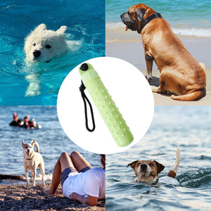 Collage of dogs playing in water and on beach with a green dog toy in the center at Pet Servo