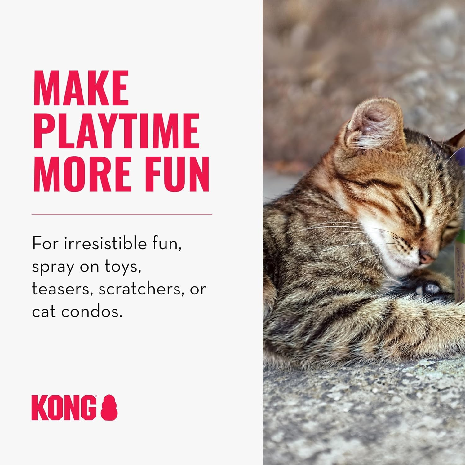 Cat playing with a Kong product on a textured surface, with promotional text about making playtime more fun at Pet Servo