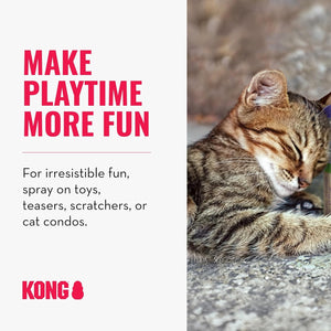 Cat playing with a Kong product on a textured surface, with promotional text about making playtime more fun at Pet Servo