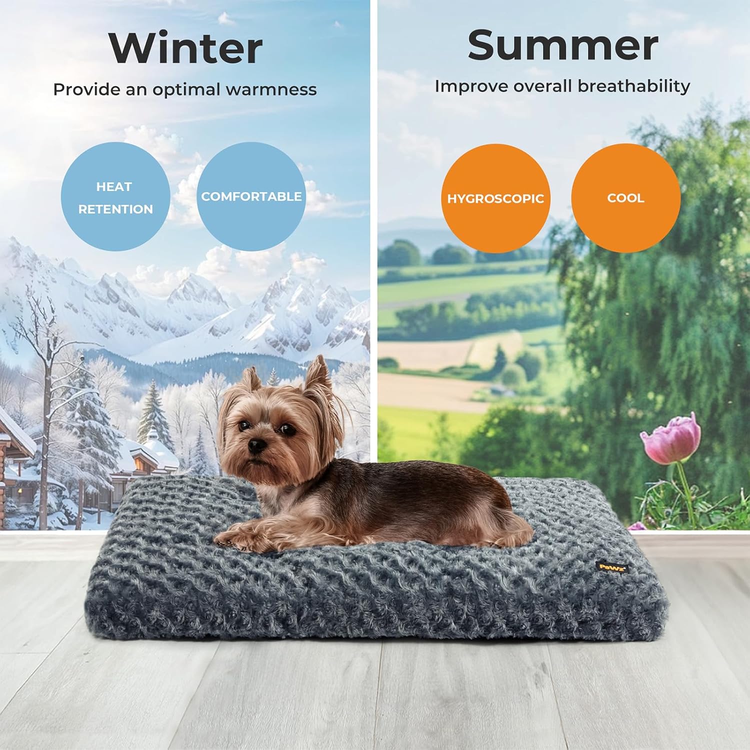 Pawz Soft Swirl Pattern Dog Bed Mat Plush Velvet with Machine Washable at Pet Servo