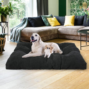 Two dogs on a large black dog bed in a living room with a sectional sofa and decorative pillows at Pet Servo