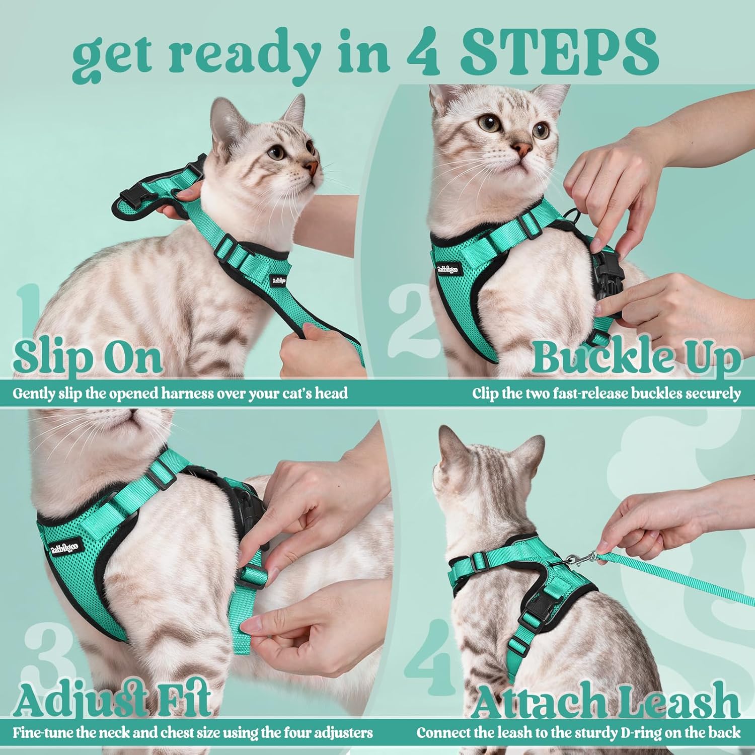 Step-by-step guide on how to put on a teal cat harness with text instructions at Pet Servo