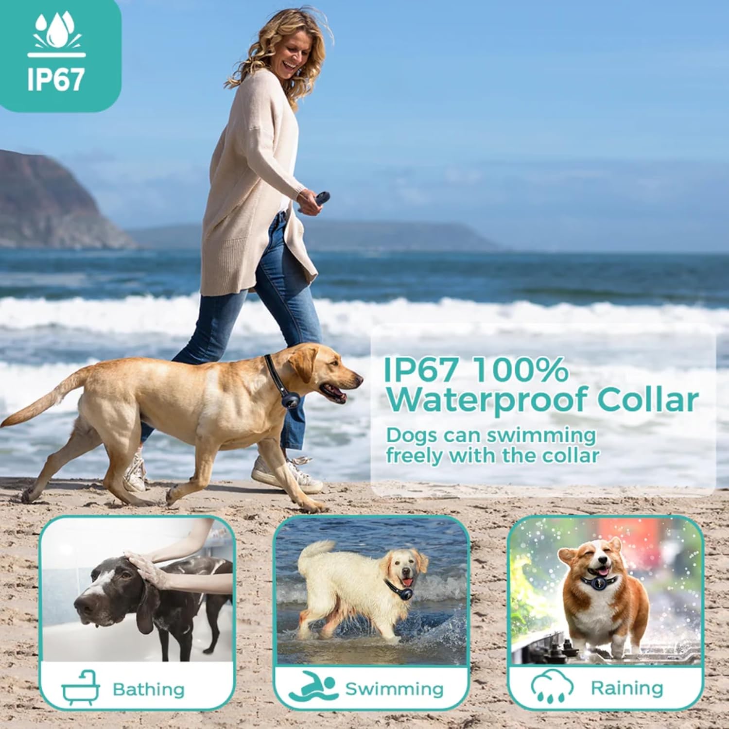 Woman walking a dog on a beach with text about a waterproof dog collar at Pet Servo