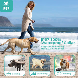 Woman walking a dog on a beach with text about a waterproof dog collar at Pet Servo