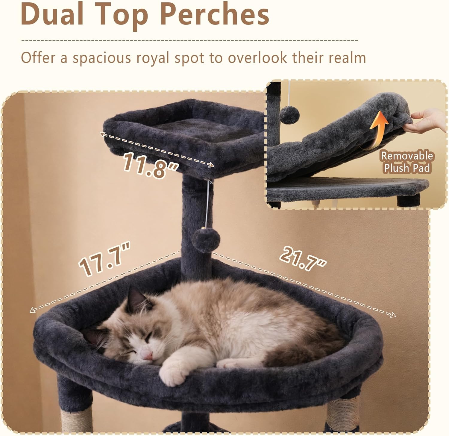 Cat tree with dual top perches and measurements, featuring a cat resting on it at Pet Servo