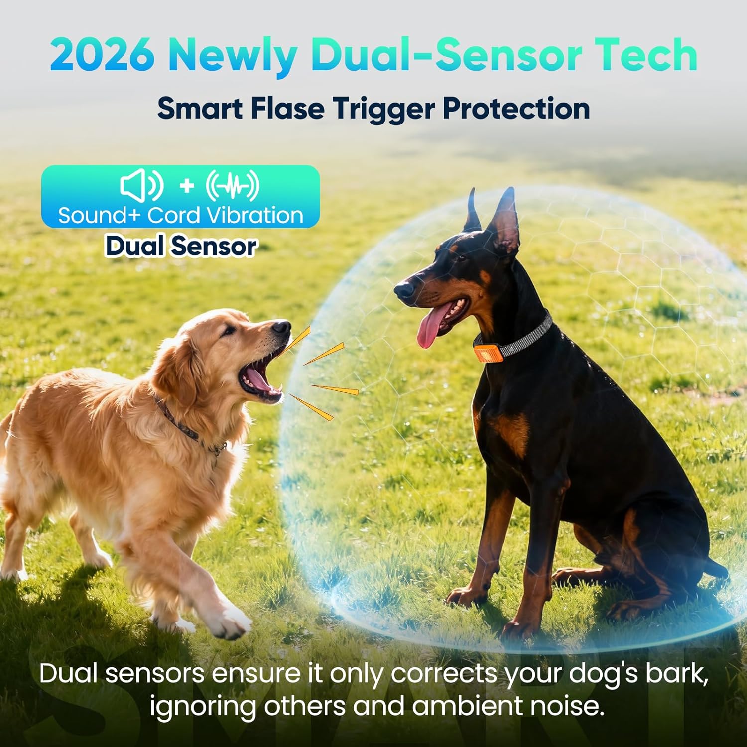 Two dogs in a grassy field with a bubble graphic and text about dual-sensor technology for dog behavior correction at Pet Servo