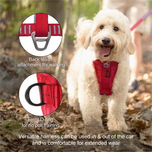 Dog wearing a red harness with attachments in a forest setting at Pet Servo