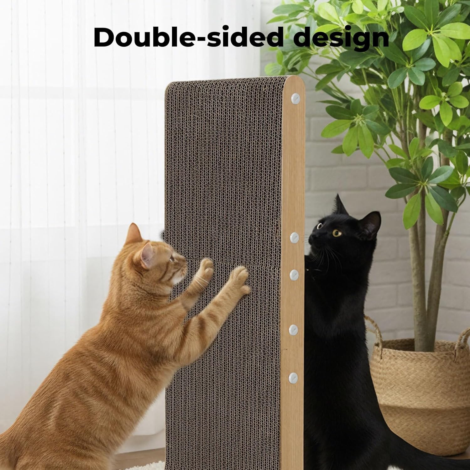 Two cats interacting with a double-sided cat scratcher in a home setting at Pet Servo