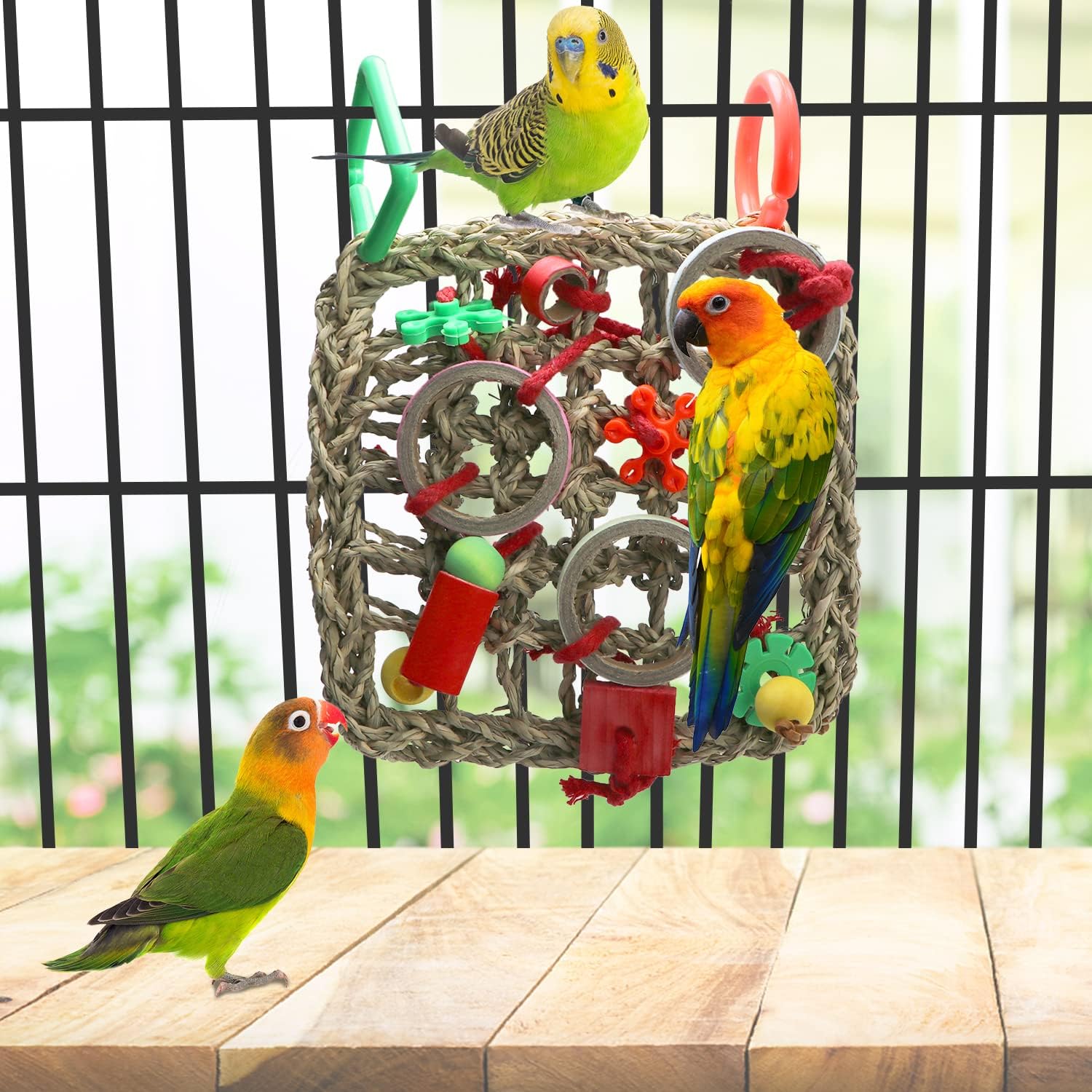 Colorful parakeets interacting with a bird play gym in a cage at Pet Servo