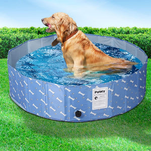 Dog sitting in a blue inflatable pool with bone pattern on grass at Pet Servo