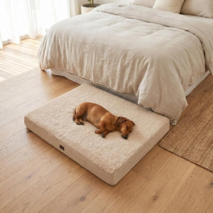 PaWz - Soft Dog Bed Mattress for Crate with Removable Cover, Waterproof Liner at Pet Servo