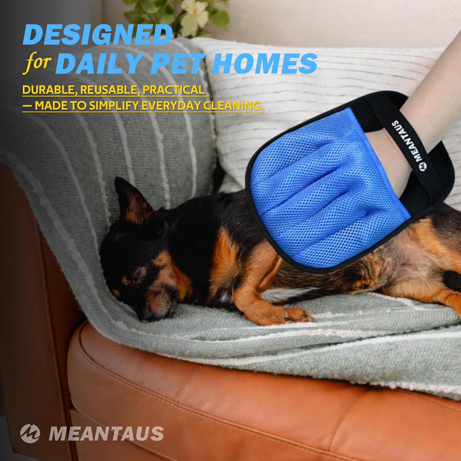 Dog lying on a couch with a blue grooming glove on its paw, text about daily pet homes and MEANTAU brand at Pet Servo