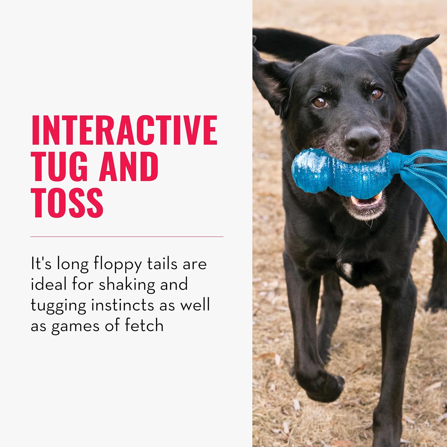 A black dog outdoors holding a bright blue tug toy in its mouth, with text on the left reading 'INTERACTIVE TUG AND TOSS' and additional descriptive copy at Pet Servo