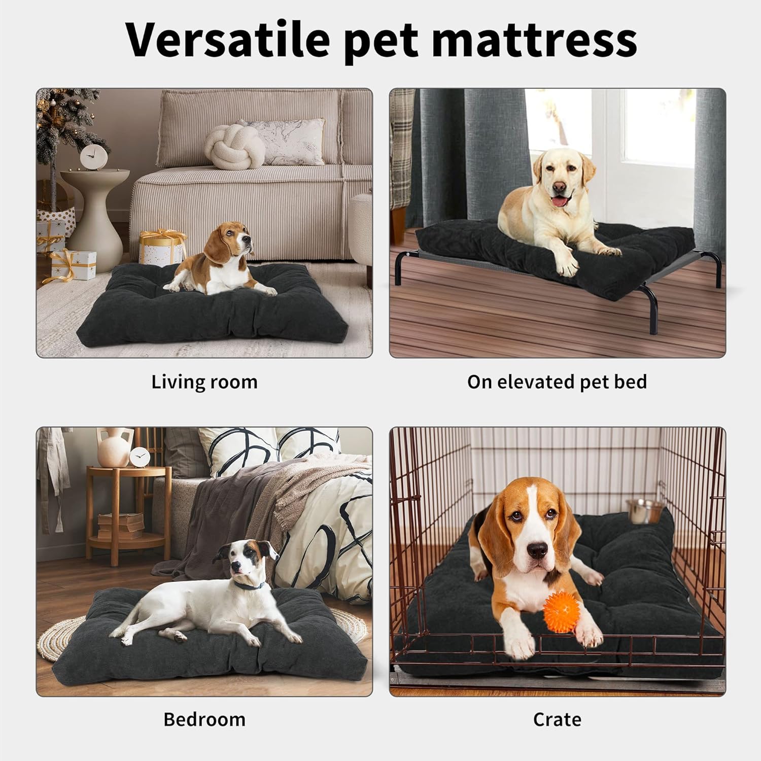 Versatile pet mattress shown in living room, on elevated bed, in bedroom, and in crate at Pet Servo