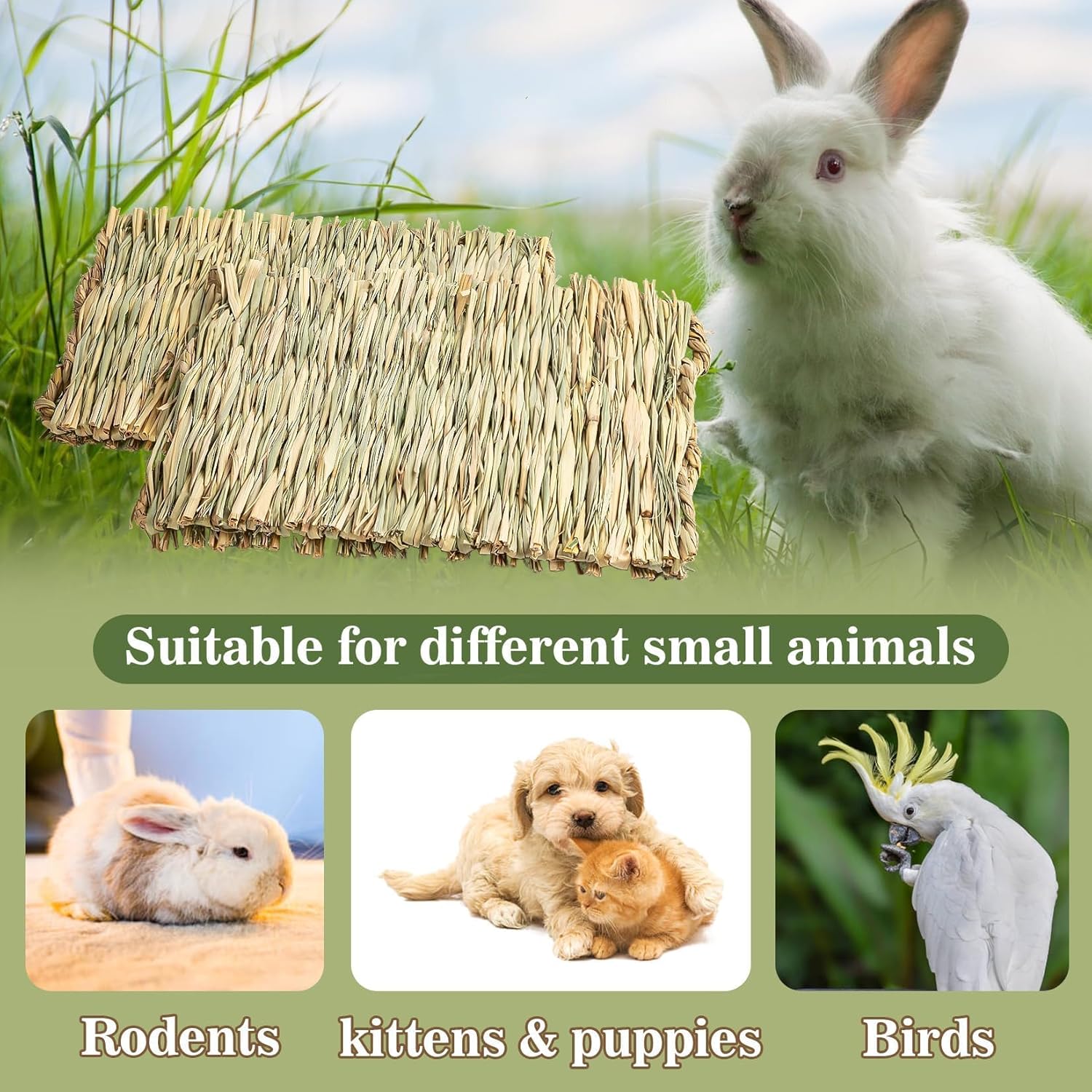 Rabbit with a hay rack and images of small animals like rodents, kittens, puppies, and birds on a green background at Pet Servo