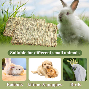 Rabbit with a hay rack and images of small animals like rodents, kittens, puppies, and birds on a green background at Pet Servo