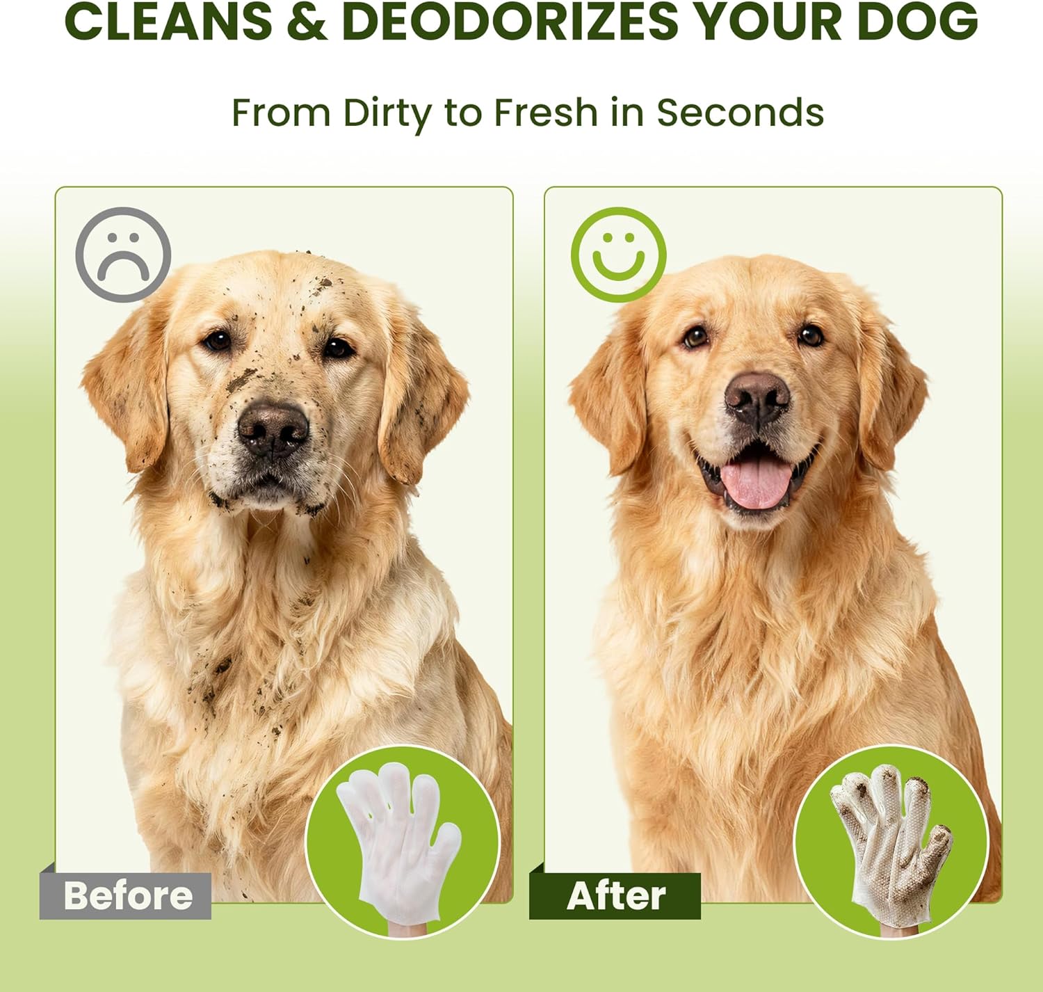 Before and after comparison of a dog with cleaning gloves on a green background at Pet Servo
