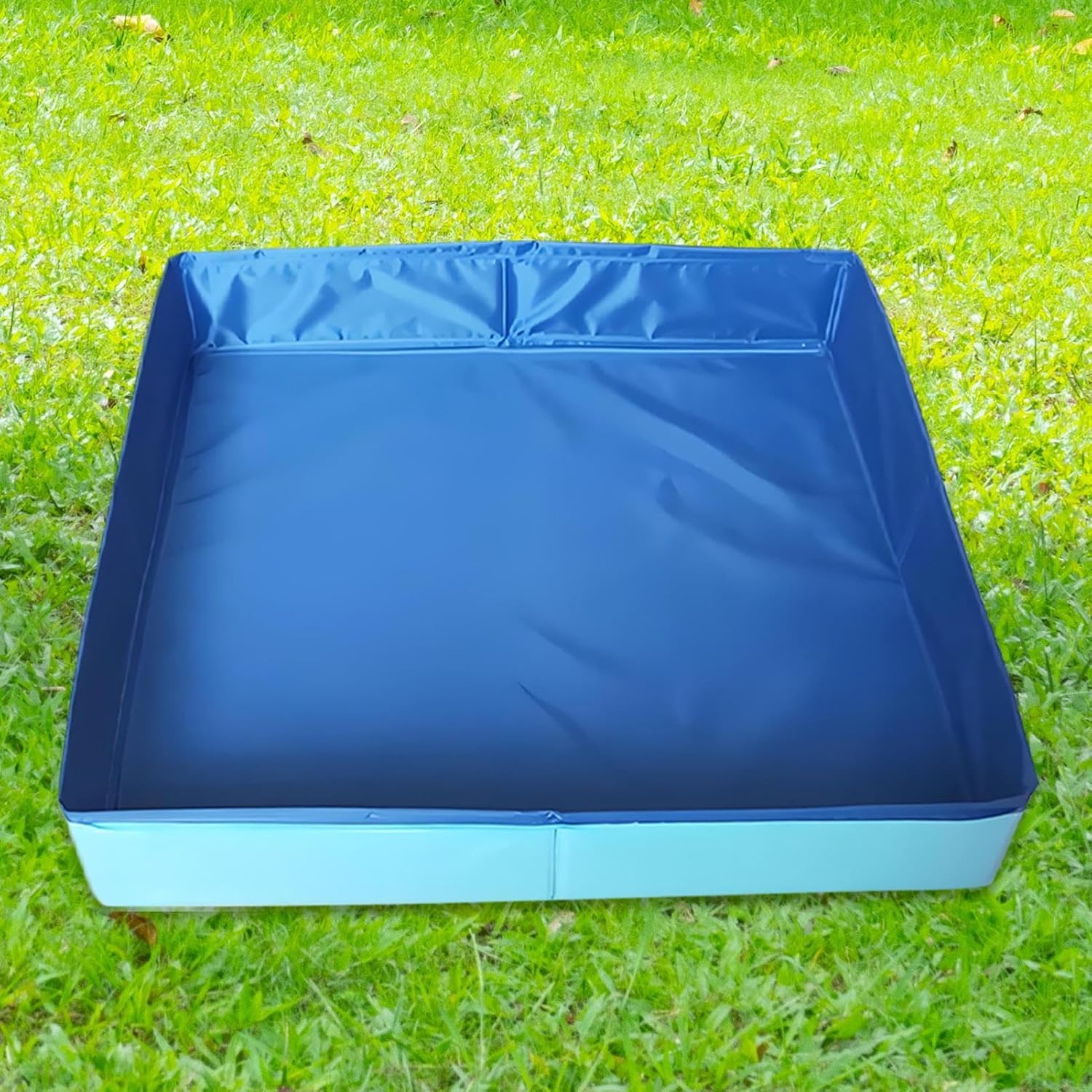 Blue and white rectangular pool on grass at Petservo