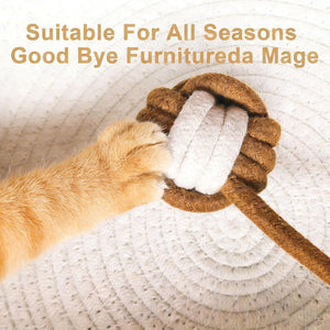 Dog paw holding a rope toy with text 'Suitable For All Seasons Good Bye Furnitureda Mage' on a textured background at Pet Servo