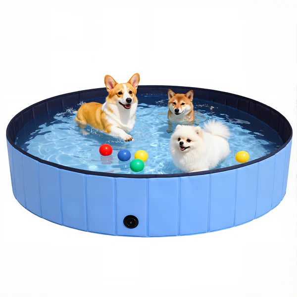 Pet pool with dogs playing inside on a white background at Pet Servo