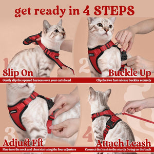 Step-by-step guide on how to put on a red cat harness and leash at Pet Servo