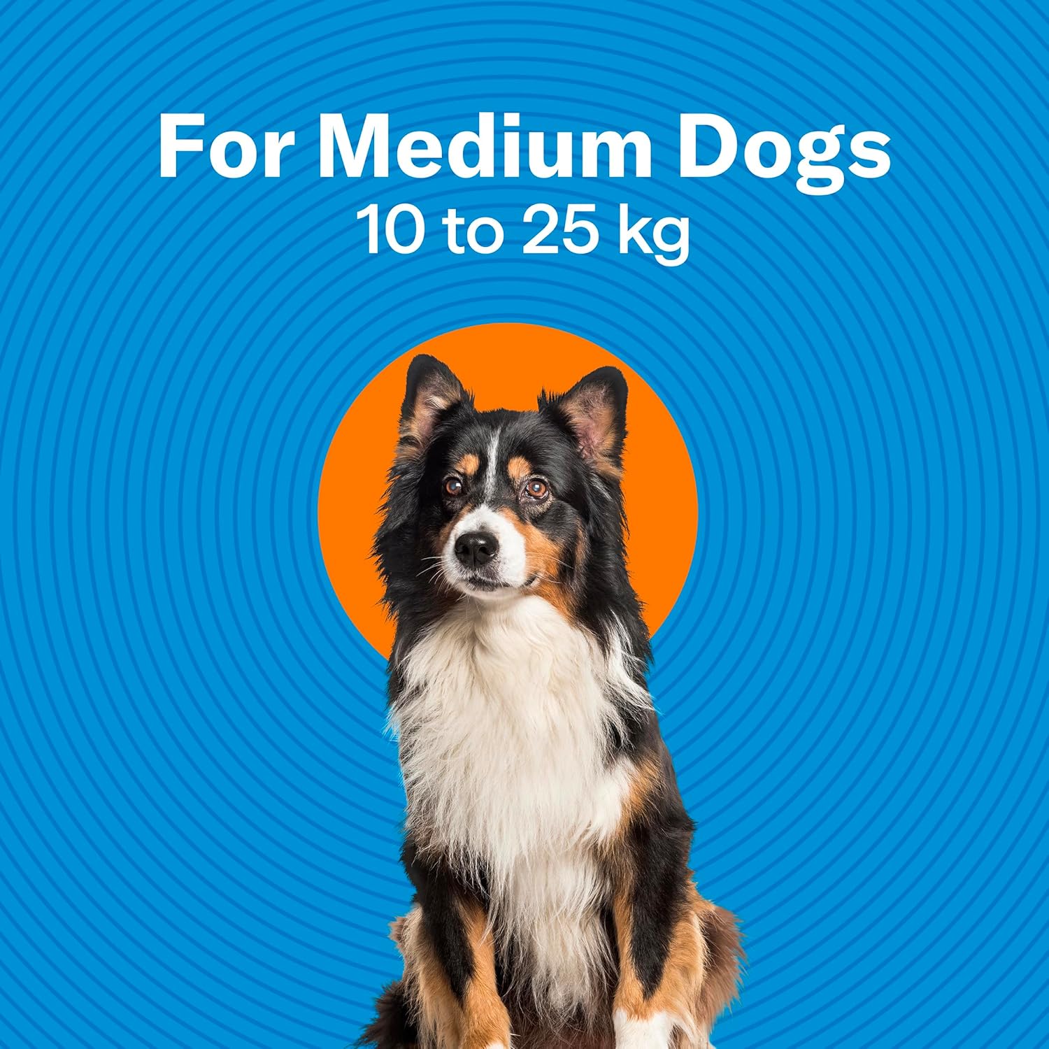 Dog with text indicating weight range on a blue background at Pet Servo