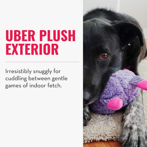 Dog playing with a plush toy, text about plush exterior at Pet Servo