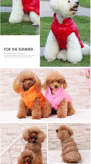 Collage of dogs wearing colorful vests with text 'For the Summer' on a grassy background at Pet Servo