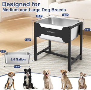 Dog water bowl with measurements and capacity details, surrounded by medium and large dog breeds at Pet Servo