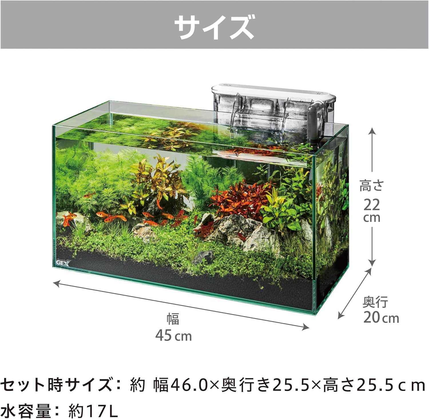 Aquarium with plants and rocks, showing dimensions on a gray background at Pet Servo