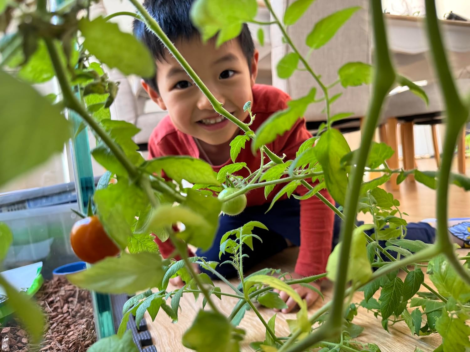 Child interacting with plants in a garden setting at Pet Servo
