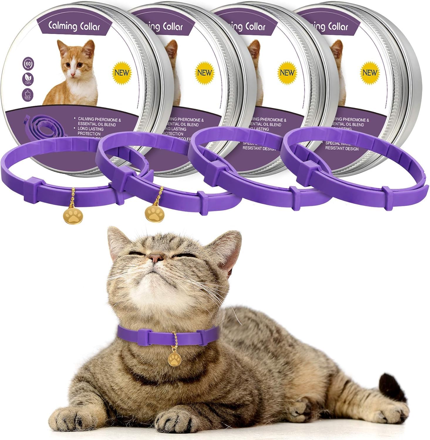 Cat wearing a purple calming collar with product packaging in the background at Pet Servo