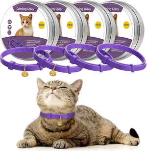 Cat wearing a purple calming collar with product packaging in the background at Pet Servo