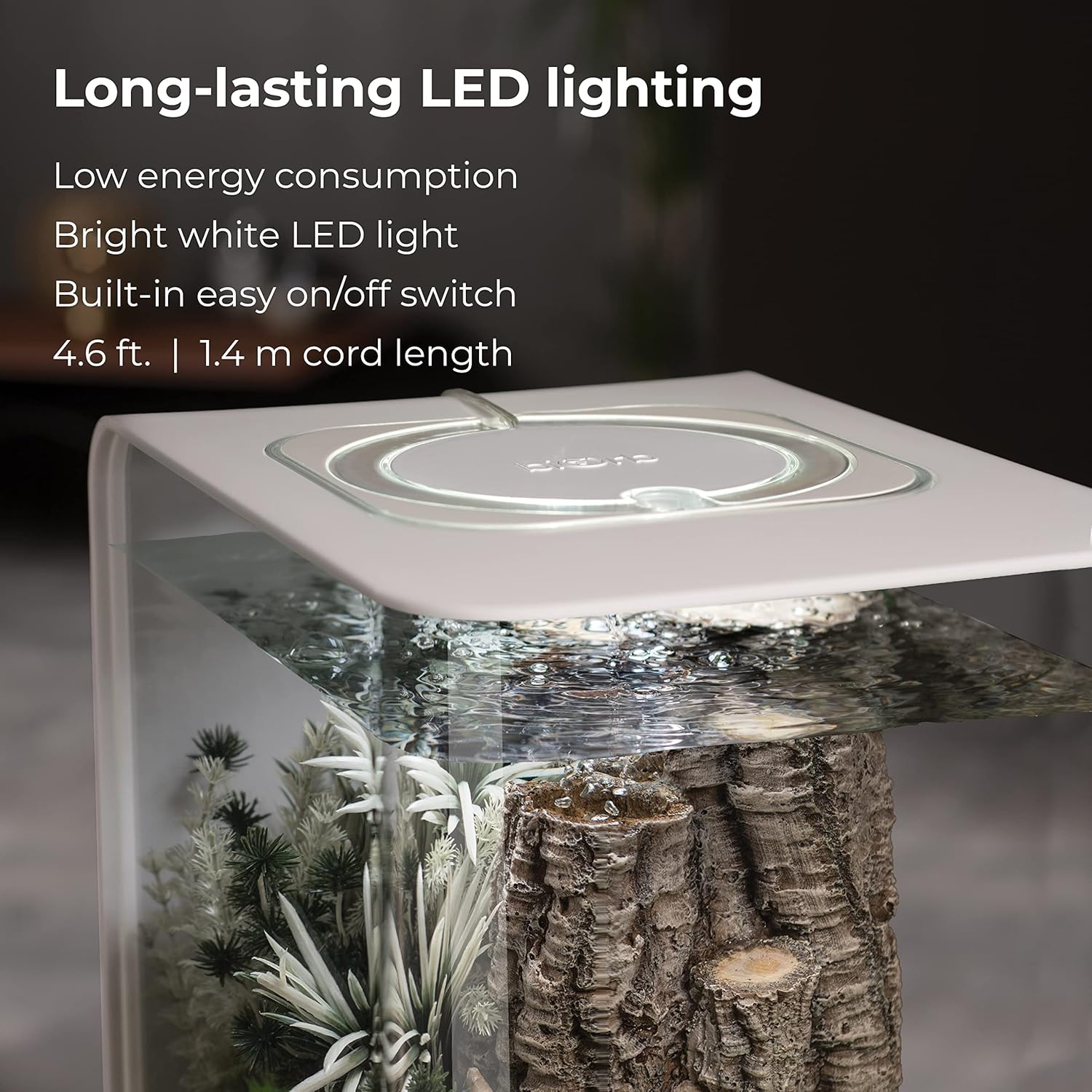 Glass terrarium with LED lighting features on a dark background
