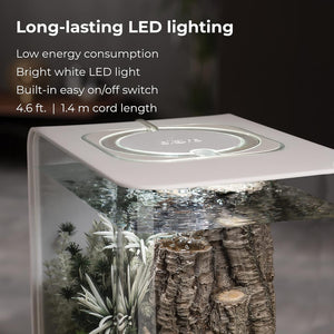 Glass terrarium with LED lighting features on a dark background