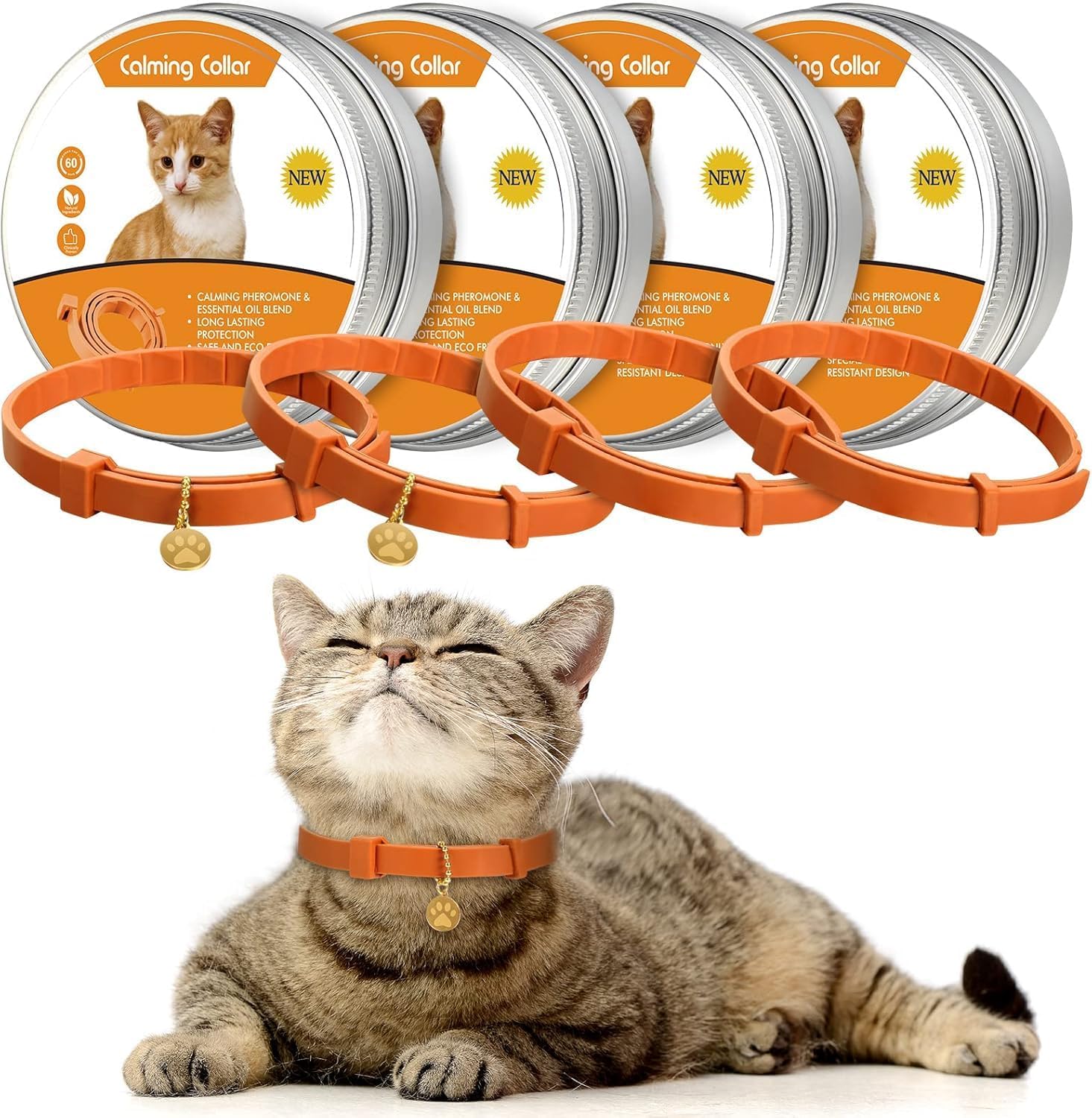Cat wearing an orange collar with packaging in the background at Pet Servo