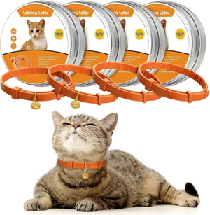 Cat wearing an orange collar with packaging in the background at Pet Servo