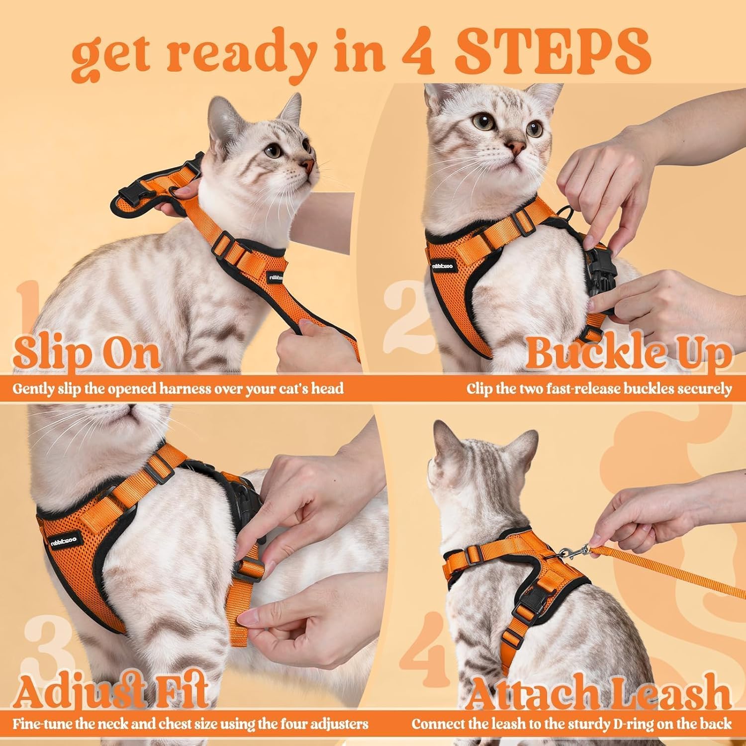 Step-by-step guide on how to put on a cat harness with illustrations and text at Pet Servo