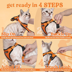 Step-by-step guide on how to put on a cat harness with illustrations and text at Pet Servo