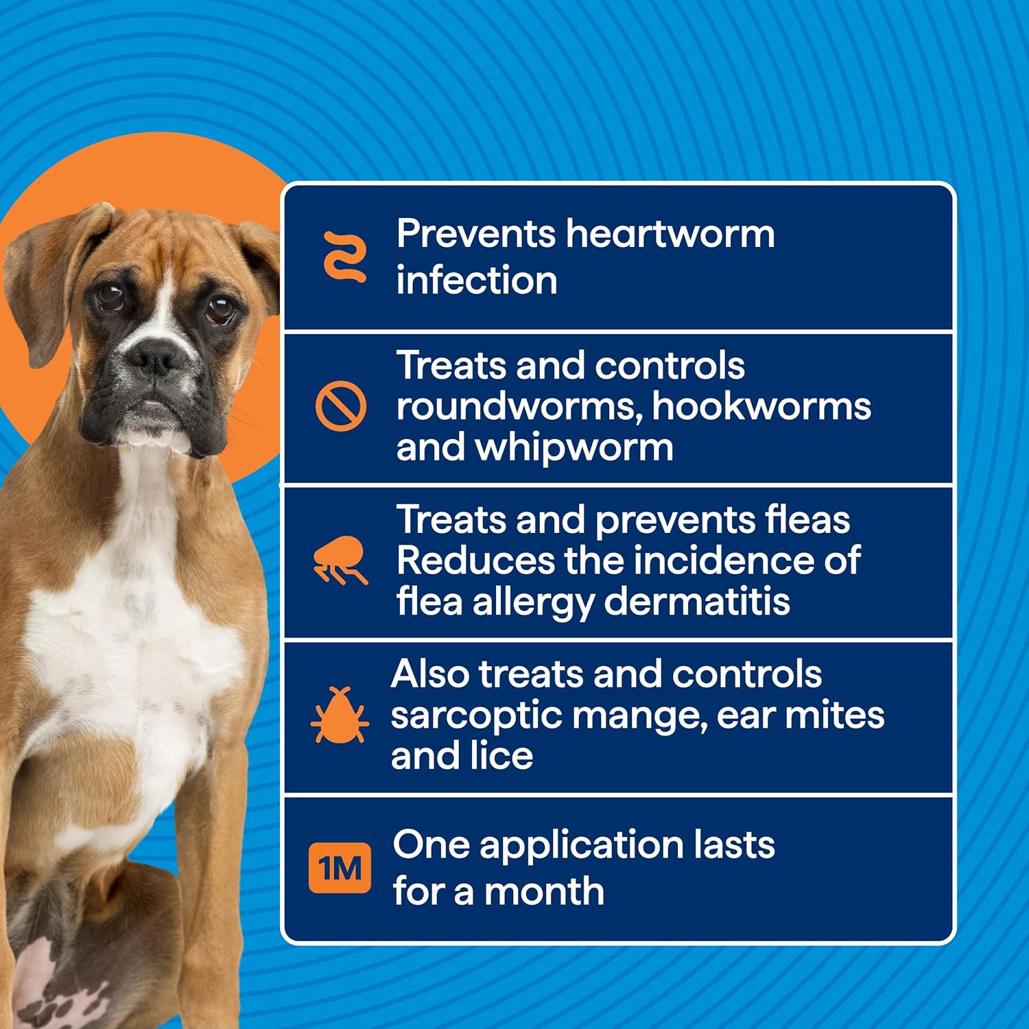 Dog with a blue background and text about pet medication benefits at Pet Servo