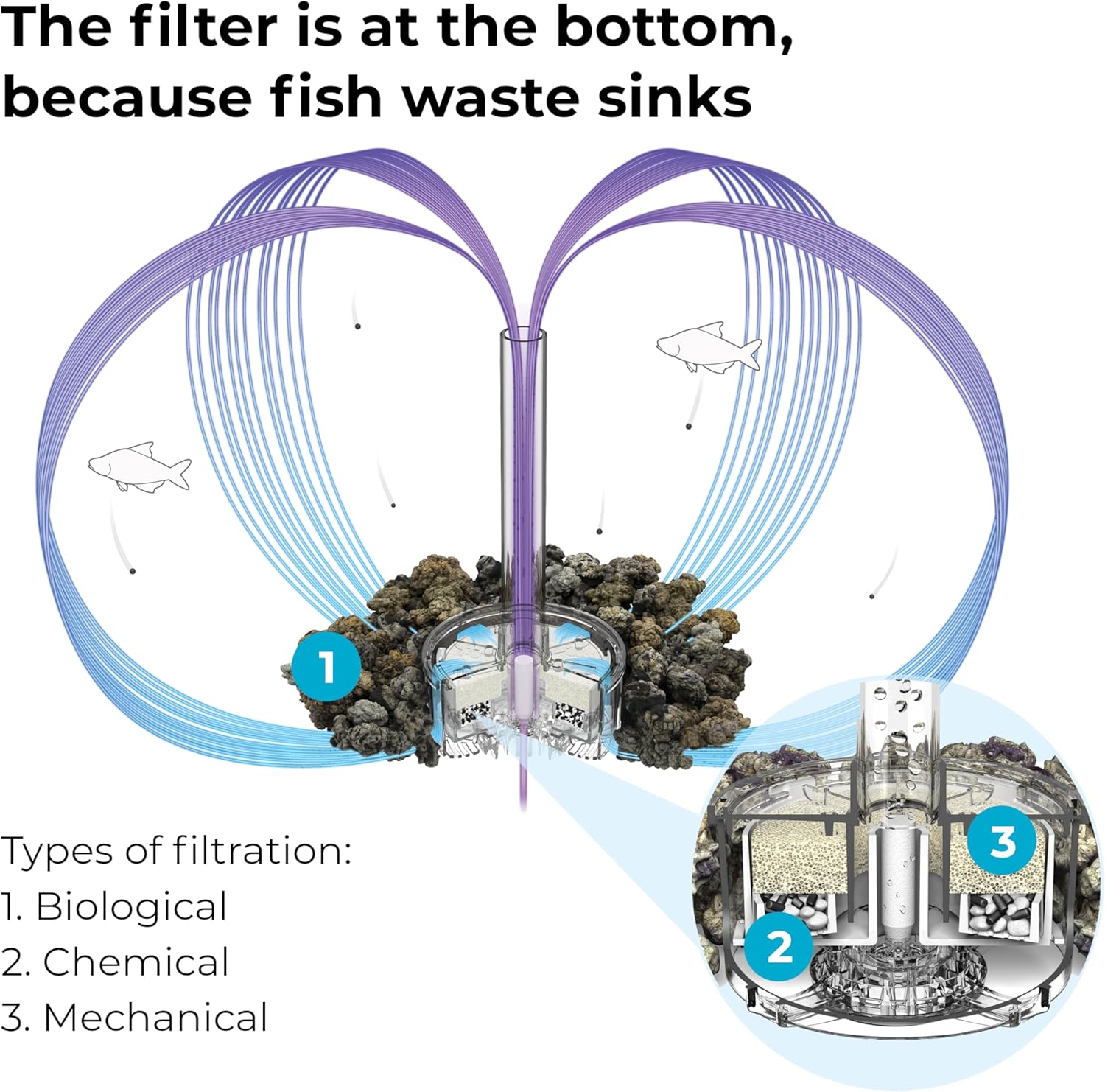 Diagram of fish tank filtration system with text explaining biological, chemical, and mechanical filtration.