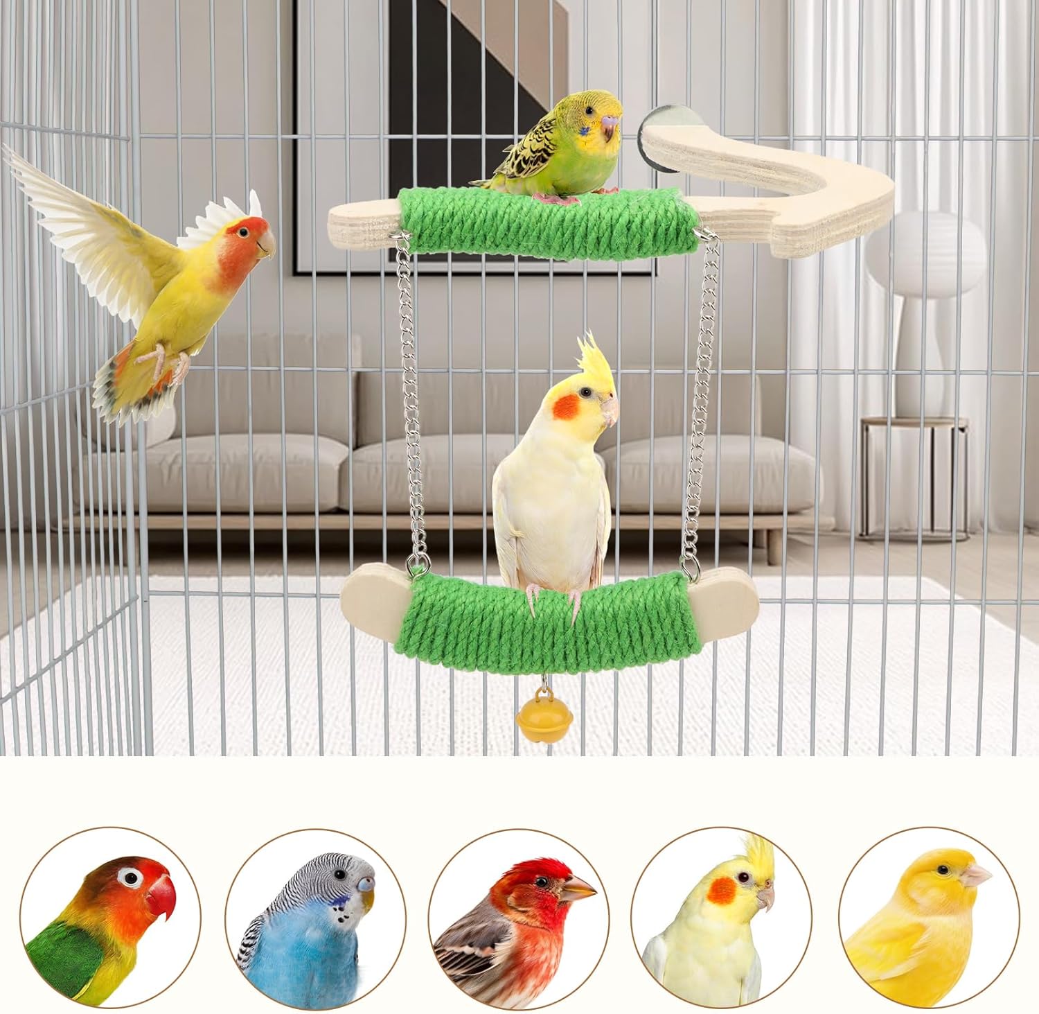 Birds on a green perch inside a birdcage with additional bird illustrations below at Pet Servo