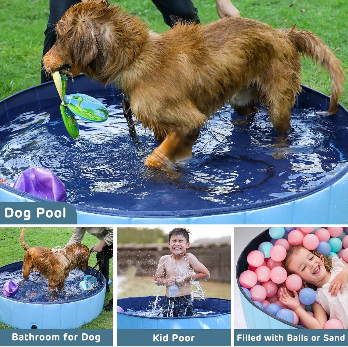 Dog playing in a blue inflatable pool with various uses shown, including for dogs and kids at Pet Servo