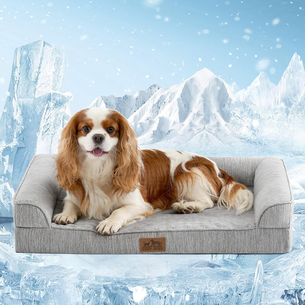 A Cavalier King Charles Spaniel dog lies on a light gray textured pet bed set against a snowy mountain background at Pet Servo