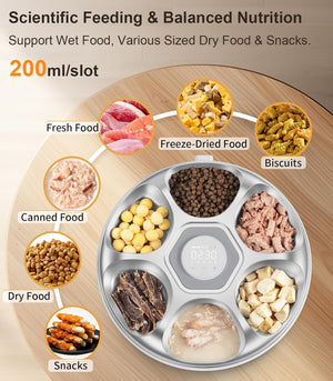 Feeding tray with various food types and a container labeled '200ml/slot' on a wooden surface at Pet Servo